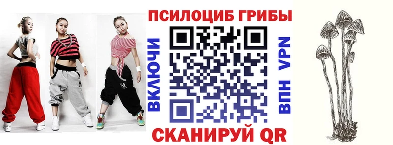 Псилоцибиновые грибы мицелий Верхняя Тура